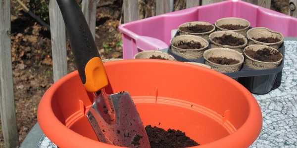 How to Start Container Gardening Like a Pro in 2024