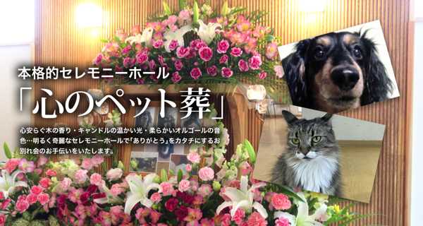 ペット葬儀・火葬サービス｜東京都内24時間対応・個別火葬・明朗料金