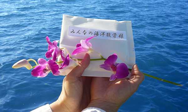 【散骨葬のすべて】自然に還る新しいお別れのかたち｜費用・流れ・よくある質問