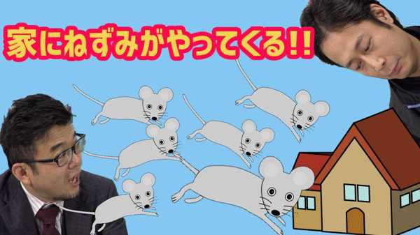 都内のネズミ駆除なら専門業者にお任せ｜迅速・確実・安心の対応を実現